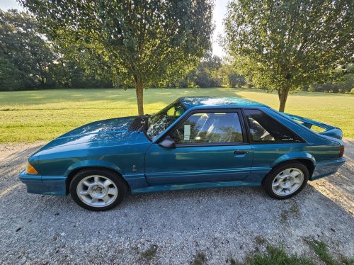 This 66-Mile Mustang Cobra Is Still Waiting To Meet Its First Ditch