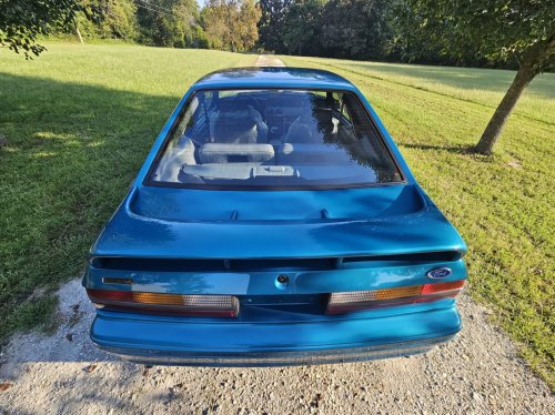This 66-Mile Mustang Cobra Is Still Waiting To Meet Its First Ditch