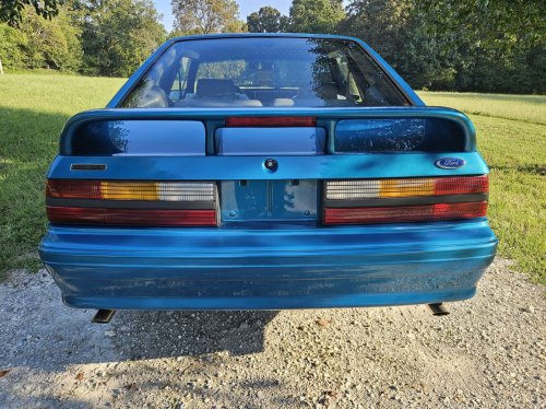 This 66-Mile Mustang Cobra Is Still Waiting To Meet Its First Ditch