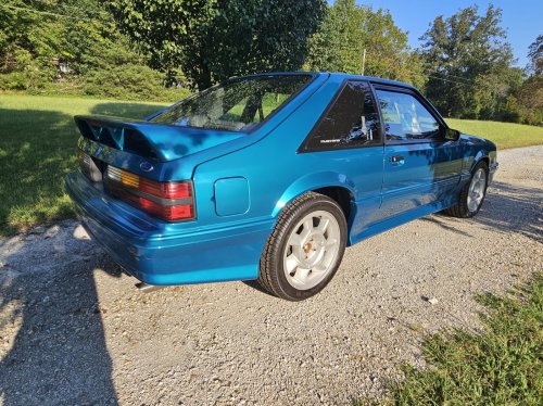 This 66-Mile Mustang Cobra Is Still Waiting To Meet Its First Ditch