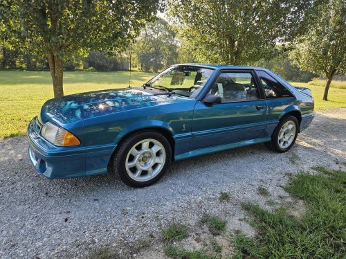 This 66-Mile Mustang Cobra Is Still Waiting To Meet Its First Ditch