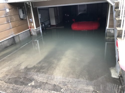 Seller Called This Underwater 1991 NSX Junk, 93 Bids Disagreed