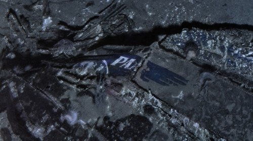 Missing Pan Am Flight Crash Site Found Hidden 2,000 Miles Below The Atlantic's Surface 75 Years Later