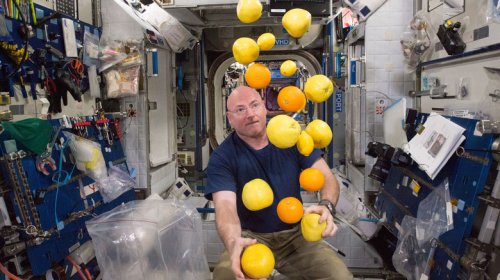 Artemis Astronauts Explain Why Nutella Tastes Different In Space (And So Does Everything Else)