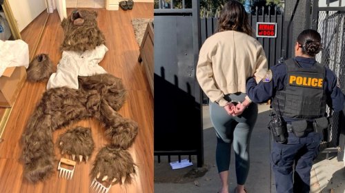 Bear Suit Car Insurance Fraudsters Get Six Months Behind Bars