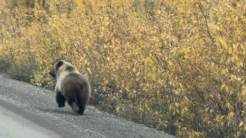 Canada's Dempster Highway Is A 460-Mile Dirt Road Stretching Across One Of The Harshest Places On Earth