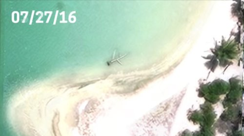 Expedition Investigating Possible Wreckage Of Amelia Earhart's Plane Might Just Be Looking At A Downed Coconut Tree, But Why Not Check?