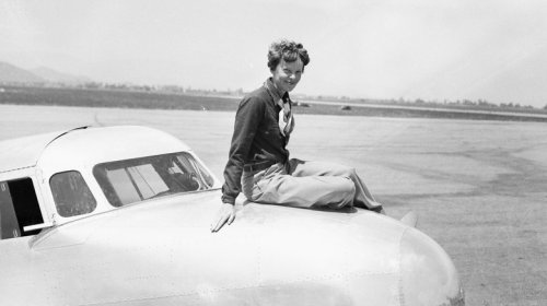 Expedition Investigating Possible Wreckage Of Amelia Earhart's Plane Might Just Be Looking At A Downed Coconut Tree, But Why Not Check?