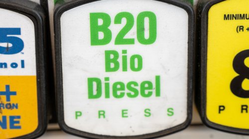 Green Biofuels Could Save The Day If Oil Supplies Remain Disrupted (And Possibly Cause A Global Food Crisis)
