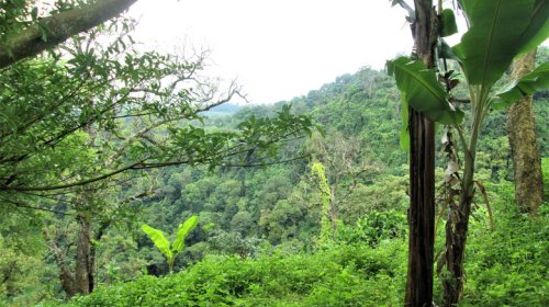 If You Want To Road Trip The World's Longest Highway, You'll Have To Plan For The Darién Gap