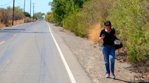 Pedestrian Deaths Have Dropped For A Depressing Reason