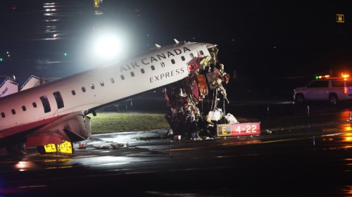 Pilots Meow And Bark At Air Traffic Controllers Below 10,000 Feet, Prompting FAA Investigation