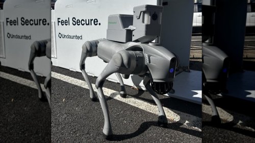 Robot Dogs Corner Car Break-In Suspect In Apartment Trash Compactor