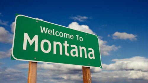 Texting While Driving Bans Exist In Every State But This One