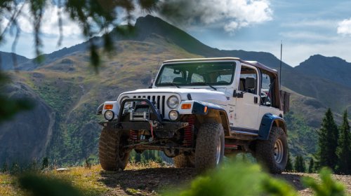 The Road Trip Rules For Driving Through National Parks Keep You And The Wildlife Safe