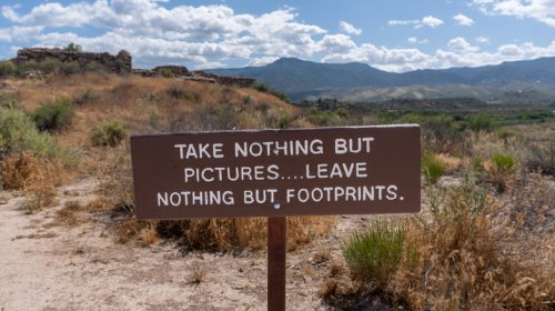 The Road Trip Rules For Driving Through National Parks Keep You And The Wildlife Safe