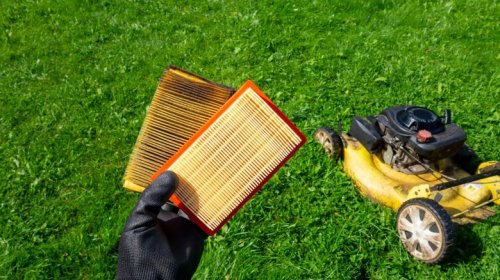 These 5 Lawnmower Checks Will Ensure Your Little Engine Can Cut It This Summer