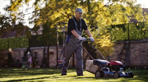 These 5 Lawnmower Checks Will Ensure Your Little Engine Can Cut It This Summer