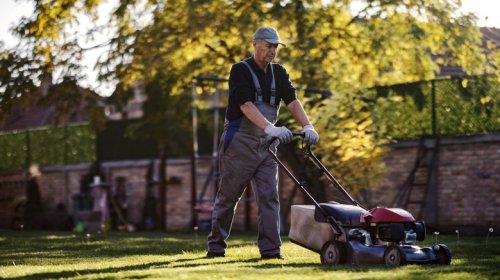 These 5 Lawnmower Checks Will Ensure Your Little Engine Can Cut It This Summer