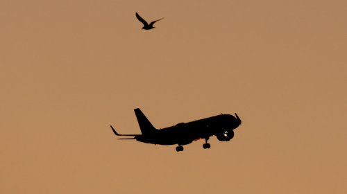 These Are Your Airport Rituals