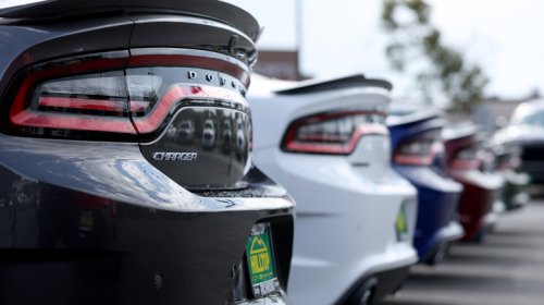 These Are Your Favorite Cars Named After Animals