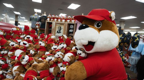 Where To Find Those Rare, Non-Huge, Normal-Sized Buc-Ee's Fueling Stations