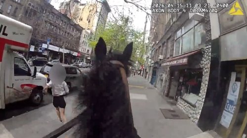 Wild Wild West Side: Horseback NYPD Cop Chases Down Suspected Purse Thief