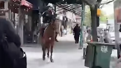 Wild Wild West Side: Horseback NYPD Cop Chases Down Suspected Purse Thief