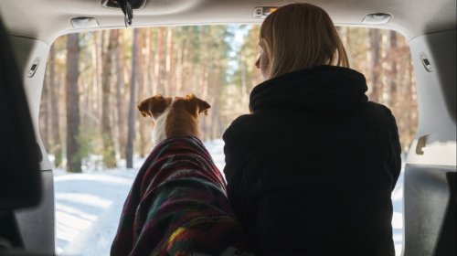 7 Tips For Successful Camping With An SUV