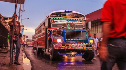 9 Brilliantly Quirky Car Communities Worth Knowing About