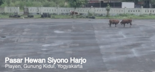 Dari Sirkuit Pasar Sapi ke Panggung Dunia MotoGP, Lompatan Besar Veda Ega Pratama