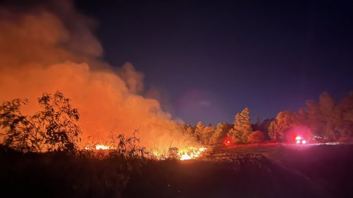 Jeep, Jeep Driver Gets Stuck in Dry Grass, Starts 20-Acre Forest Fire