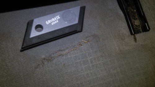 Drive With a Dog? This Pet Hair Remover Works Great