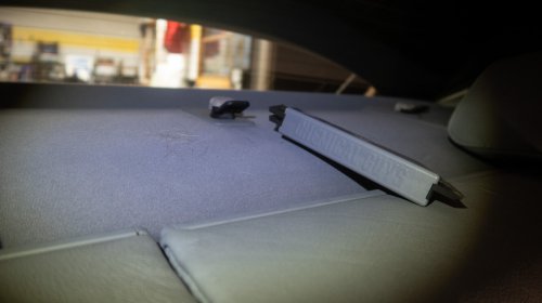 Drive With a Dog? This Pet Hair Remover Works Great