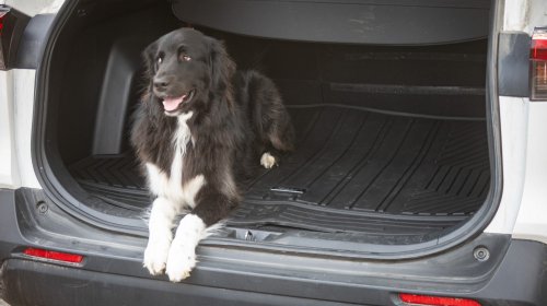 Custom-Fitted Floor Mats Cost Less Than You Think: Get 30% off 3W Liners
