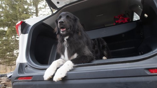 Custom-Fitted Floor Mats Cost Less Than You Think: Get 30% off 3W Liners