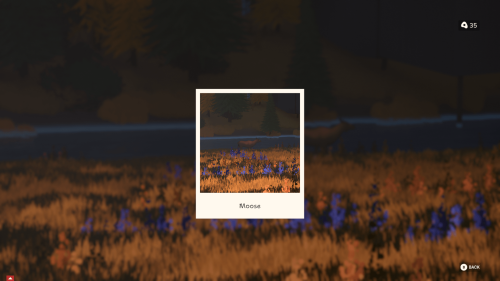 Over the Hill Preview: Virtual Off-Roading That Will Lower Your Blood Pressure