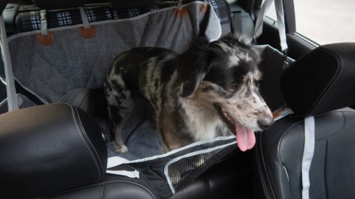 3W Liners’ Dog Seat Cover Is Cleverly Modular—and a Steal on Sale: The Rundown