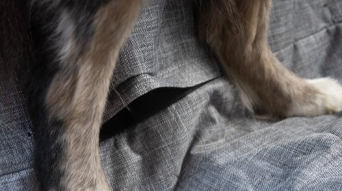 3W Liners’ Dog Seat Cover Is Cleverly Modular—and a Steal on Sale: The Rundown