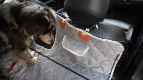3W Liners’ Dog Seat Cover Is Cleverly Modular—and a Steal on Sale: The Rundown