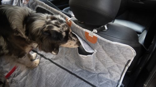 3W Liners’ Dog Seat Cover Is Cleverly Modular—and a Steal on Sale: The Rundown