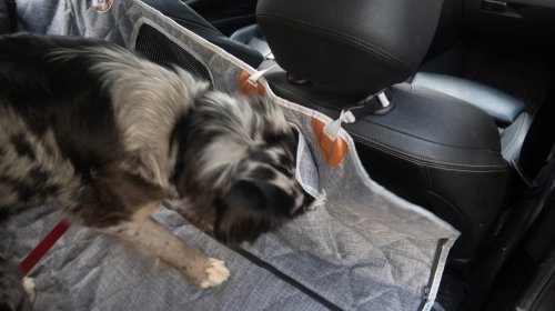 3W Liners’ Dog Seat Cover Is Cleverly Modular—and a Steal on Sale: The Rundown