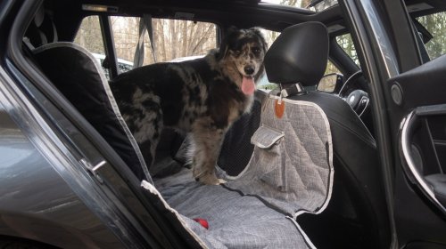 3W Liners’ Dog Seat Cover Is Cleverly Modular—and a Steal on Sale: The Rundown