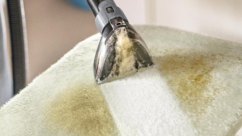 Get 25% off the Perfect Car Vacuum for Pet Owners