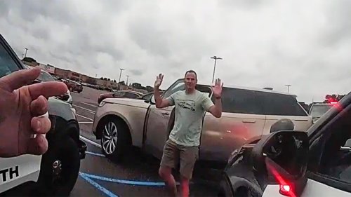 Inside the Flock Dragnet: How Systemic Errors Led to Police Ambushing Me for No Reason