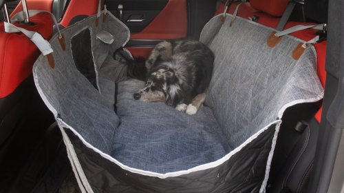 2026 Hummer EV Pickup Truck: The Dog Review
