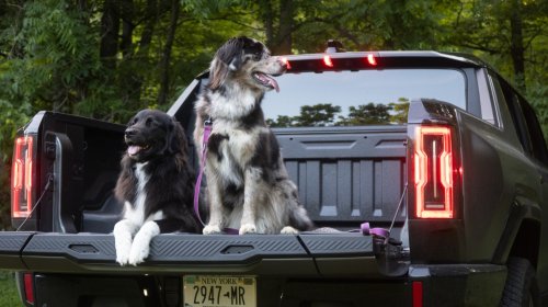 2026 Hummer EV Pickup Truck: The Dog Review