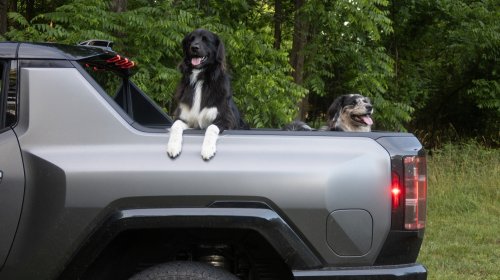 Hummer, 2026 Hummer EV Pickup Truck: The Dog Review