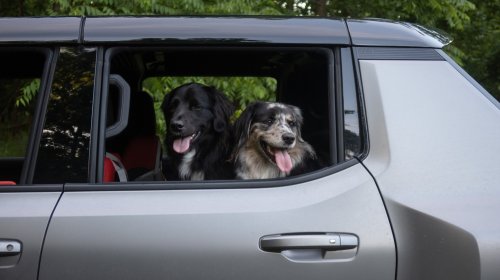 2026 Hummer EV Pickup Truck: The Dog Review