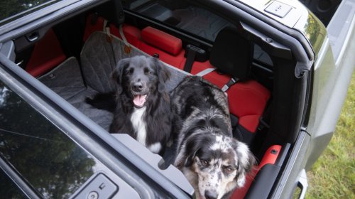 2026 Hummer EV Pickup Truck: The Dog Review